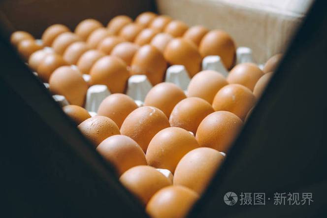 从鸡蛋厂到养鸡场 家禽产业的现代化变革