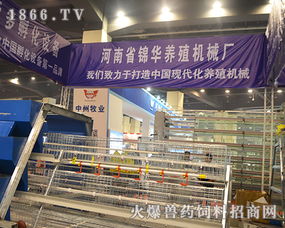 家禽养殖机械 一场高效与人文的双重革命——河南省锦华养殖机械厂展会展望