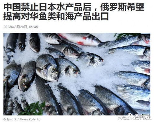 惊天行动 中国无声介入？叫停4国禽产品输华引发全球震荡